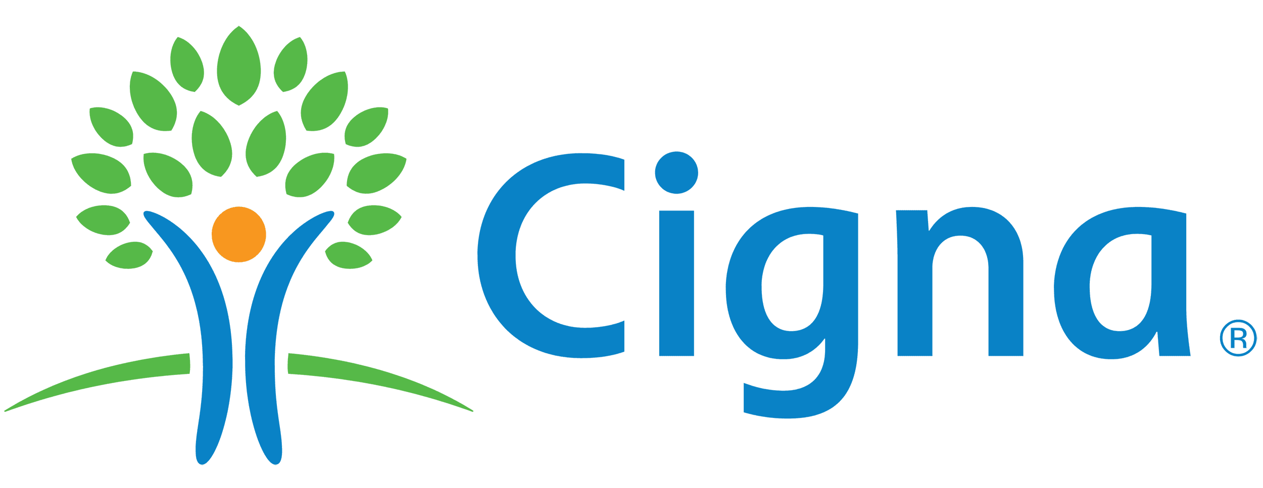 Logo with a green plant and blue text 'Cig'.